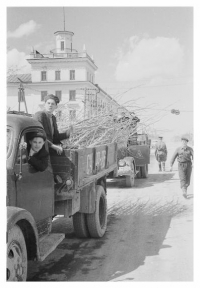 Доставка саженцев на машинах. Май 1955 года