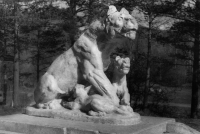 Cтатуя львицы в парке, на острове 
