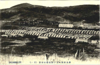 Панорамный вид бумзавода. Oji Paper Company. 1 из 3.