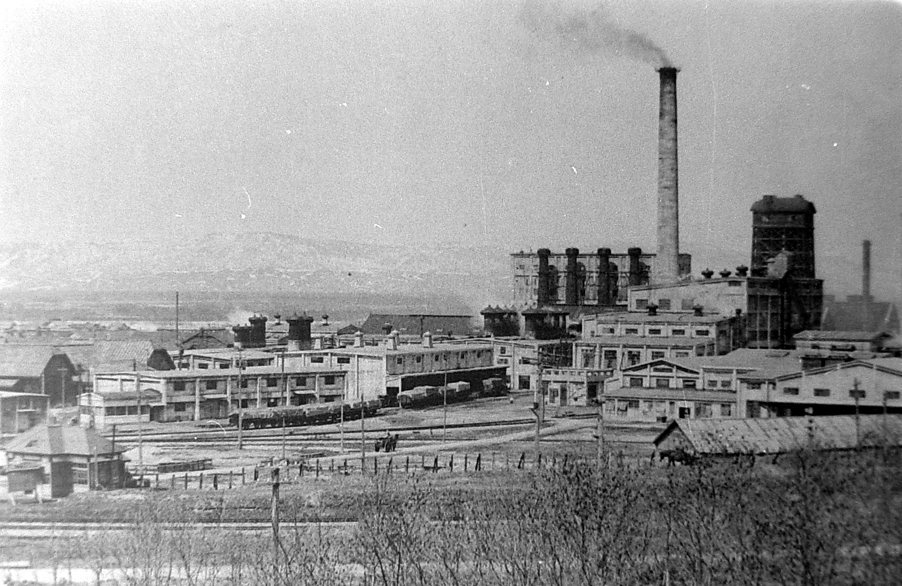 Вид на целлюлозный завод в Отиай.