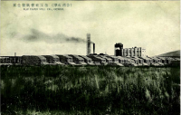 Целлюлозно-бумажный завод в Отиай