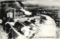 Вид на целлюлозный завод в Томари.