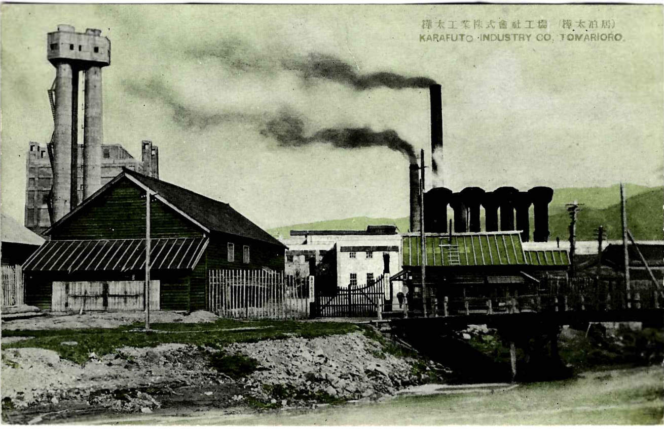 Целлюлозно-бумажный завод в Томариору