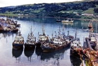 Сайровый флот рыбокомбината 'Островной' в порту Крабозаводское