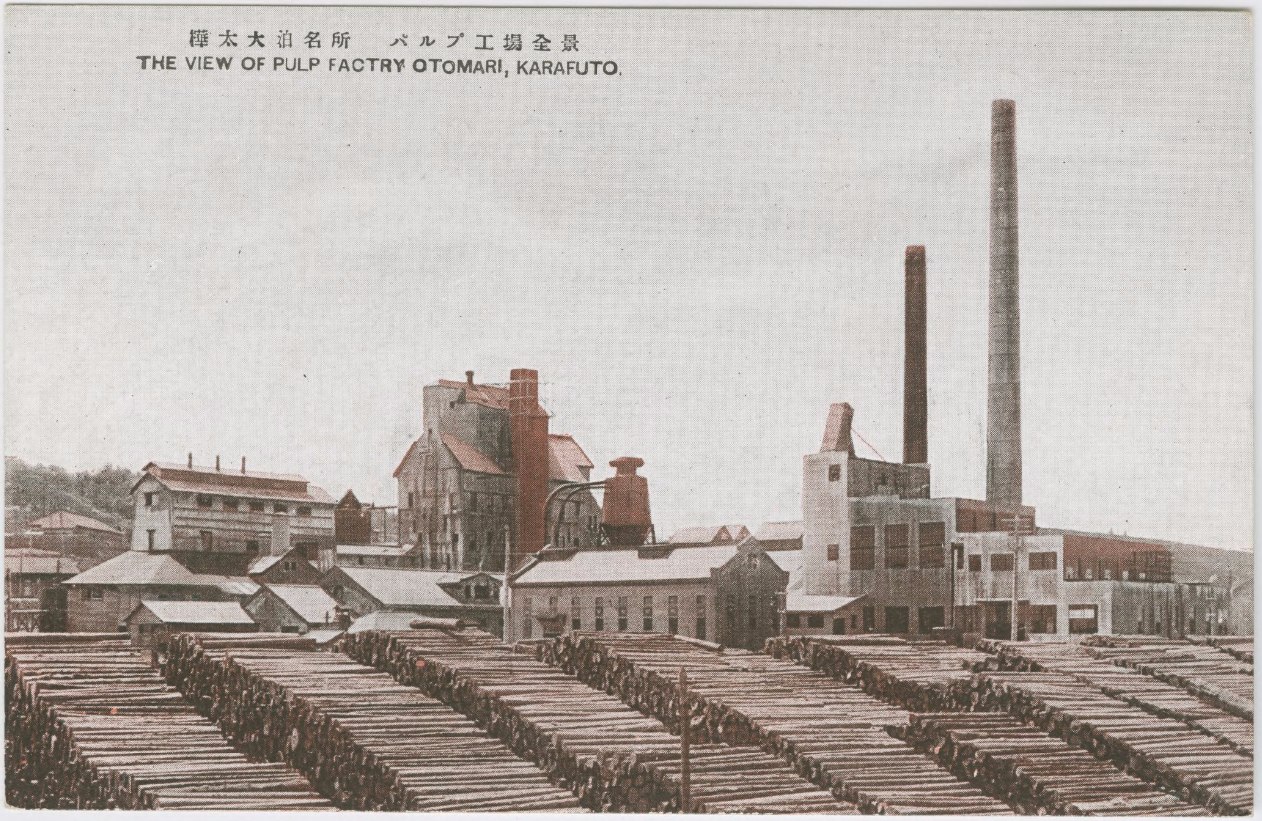 Целлюлозная фабрика в Одомари