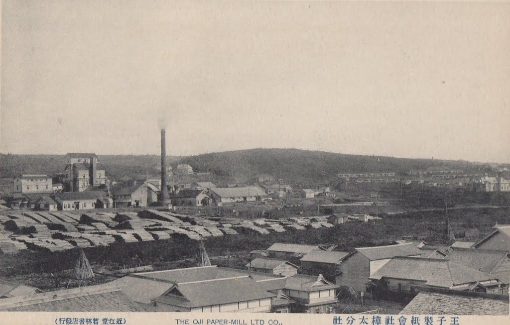 Вид на целлюлозно-бумажный завод в Одомари