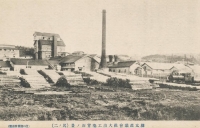 Целлюлозно-бумажный завод в Одомари
