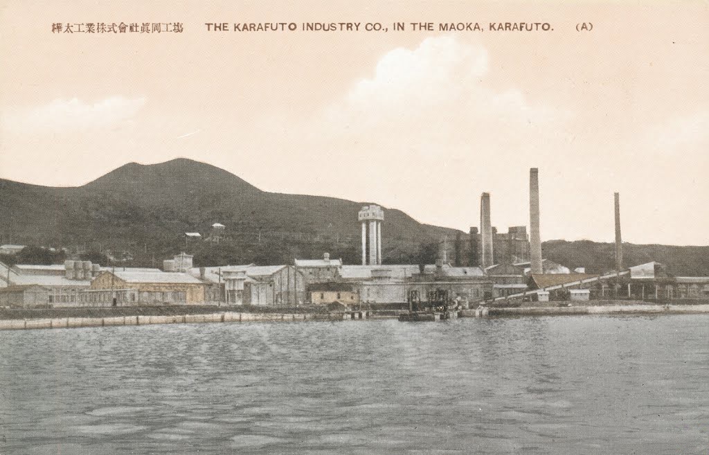 Вид с моря на целлюлозно-бумажную фабрику г. Маока