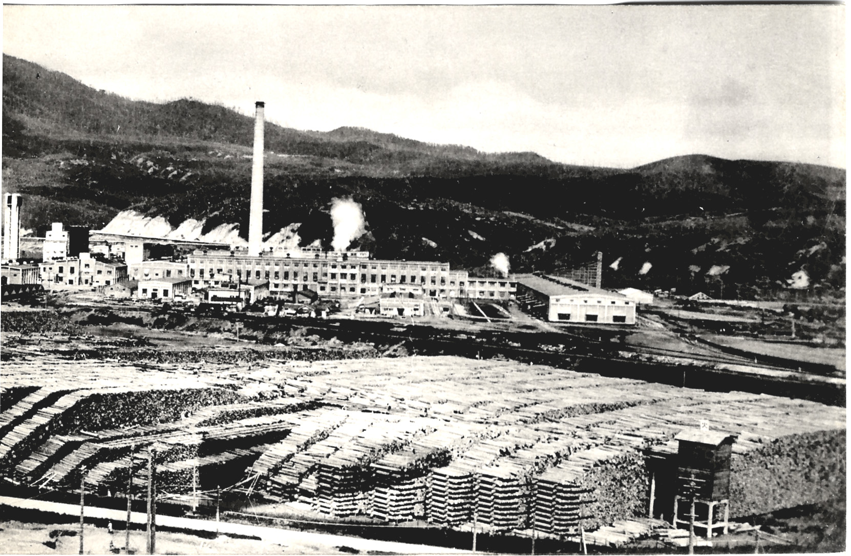 Целлулозно-бумажный завод в г. Сиритору