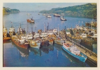 Рыболовецкая флотилия у острова Шикотан.