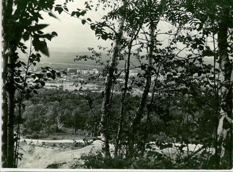 Панорама поселка Тымовское