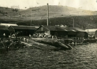 Японская китобойная станция Сакотан компании «Ниппон Хогэй». о. Шикотан. 1930-е гг.