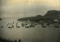 Вид на китобойную станцию Сакотан компании «Ниппон Хогэй». о. Шикотан. 1930-е гг.